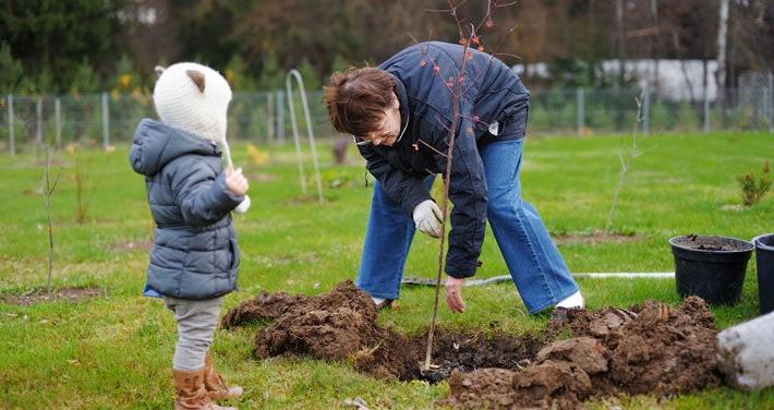 man planting tree with young child watching